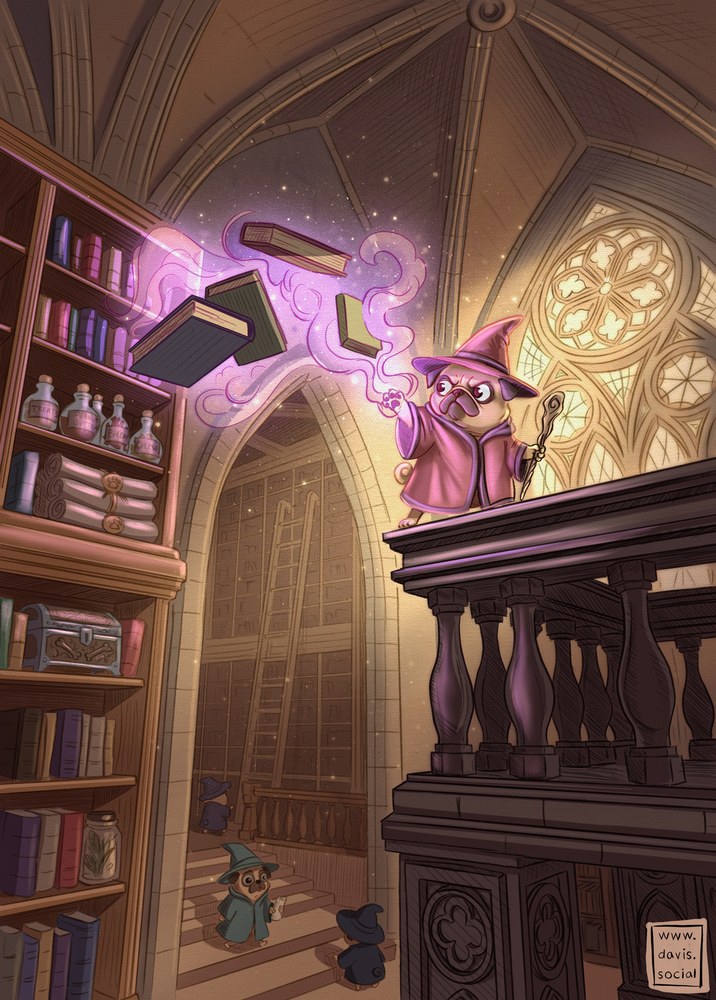 Pug Wizard